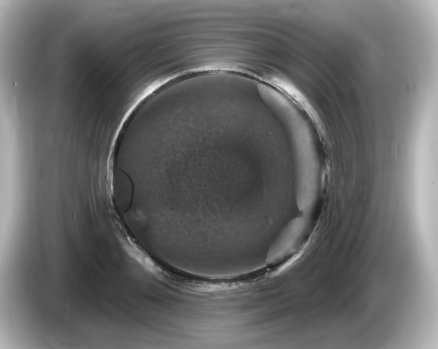 X0000085770892200703161140