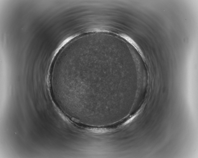 X0000085770893200703161140