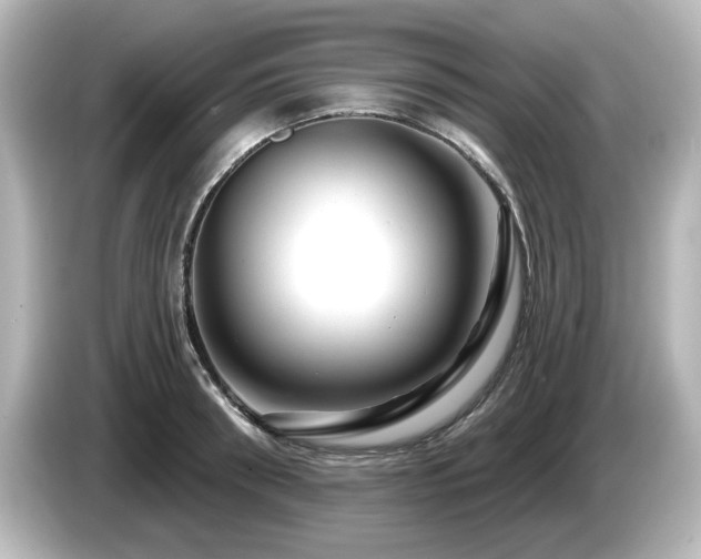 X0000085770898200703161140