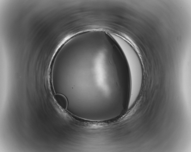 X0000085770899200703161140