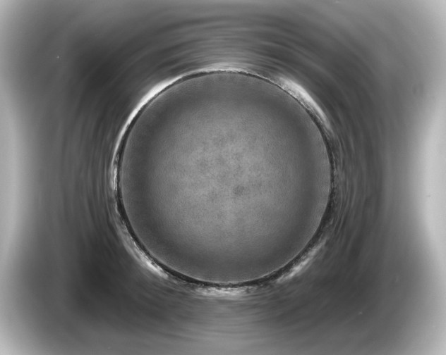 X0000085770900200703161140