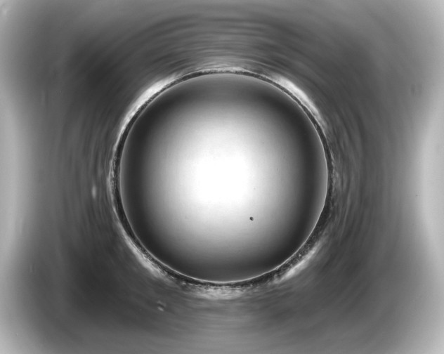 X0000085770901200703161140