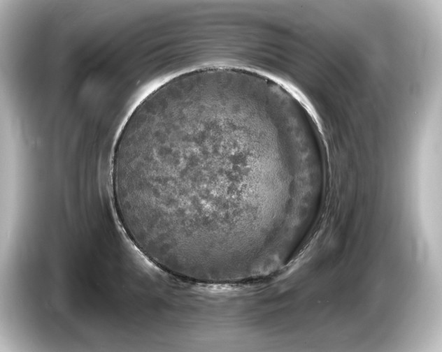 X0000085770903200703161140