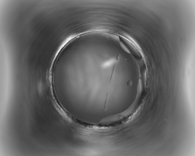 X0000085770907200703161140