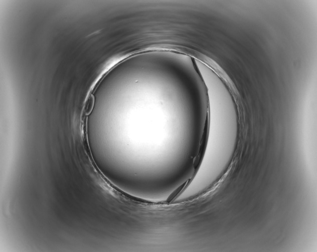 X0000085770908200703161140