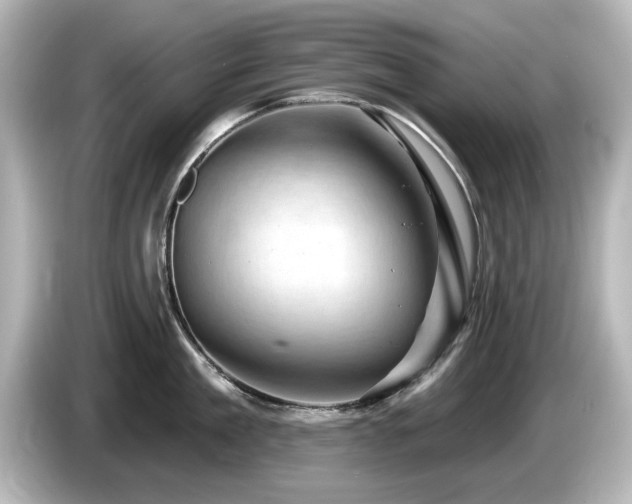 X0000085770909200703161140