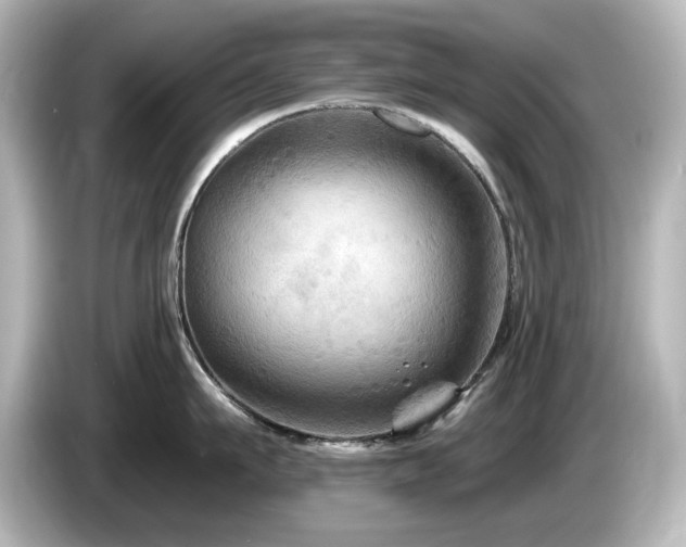 X0000085770911200703161140