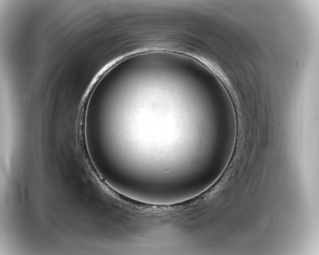 X0000085770912200703161140