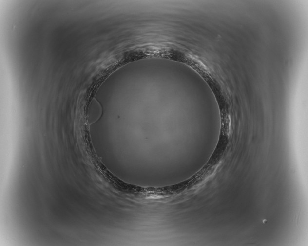 X0000085770913200703161139