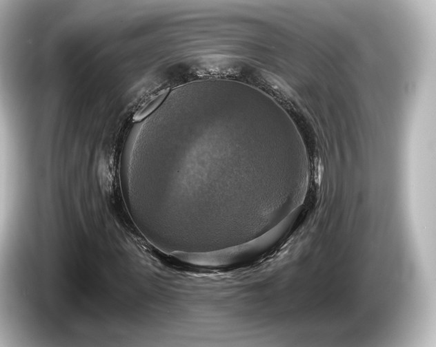 X0000085770915200703161139