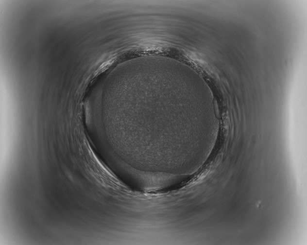 X0000085770916200703161139