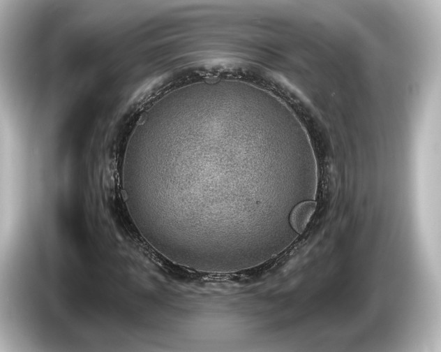 X0000085770918200703161139