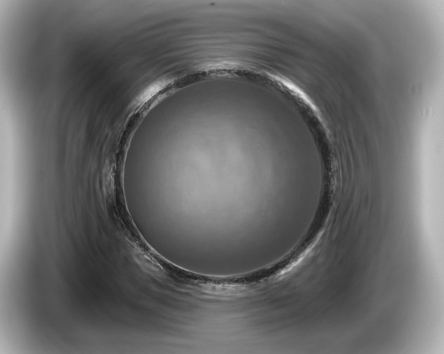 X0000085770921200703161139