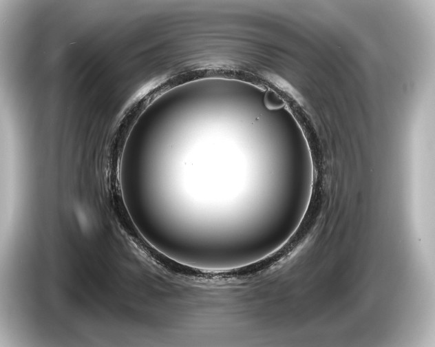 X0000085770922200703161139