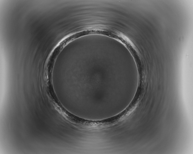 X0000085770923200703161139