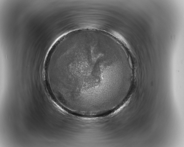 X0000085770924200703161139