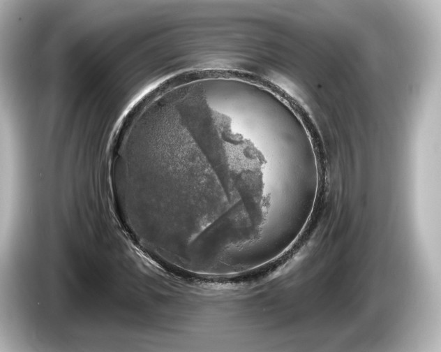 X0000085770925200703161139