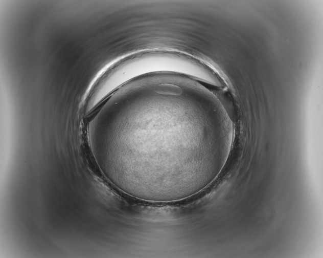 X0000085770926200703161139