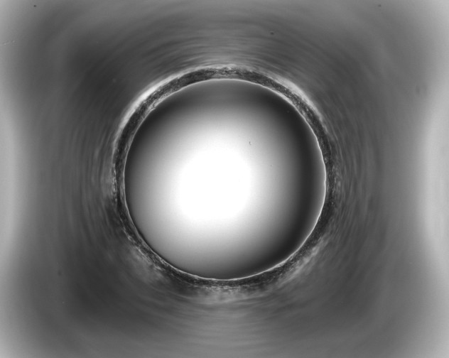 X0000085770927200703161139