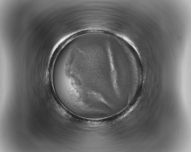 X0000085770928200703161139