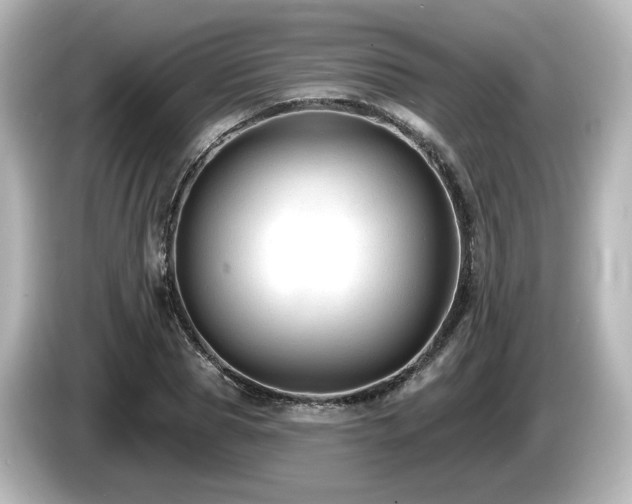 X0000085770929200703161139