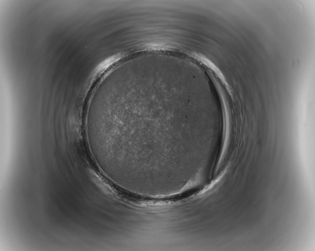 X0000085770930200703161139