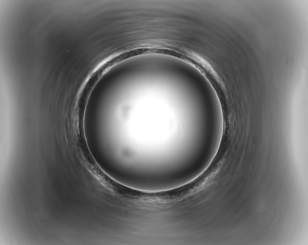 X0000085770931200703161139