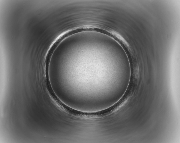 X0000085770934200703161139