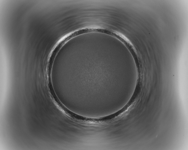 X0000085770935200703161139