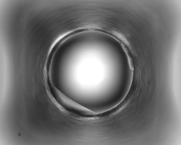 X0000085770936200703161139