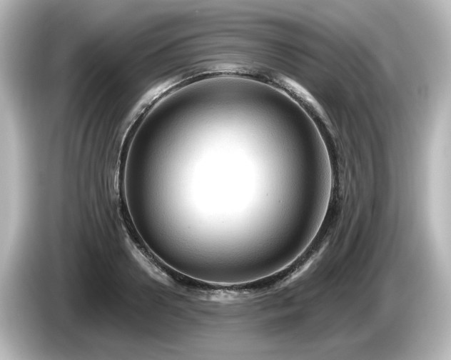 X0000085770938200703161139