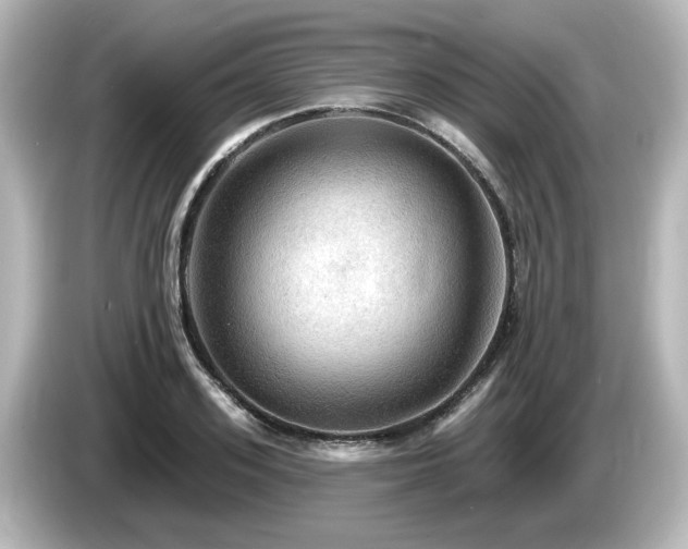 X0000085770939200703161139