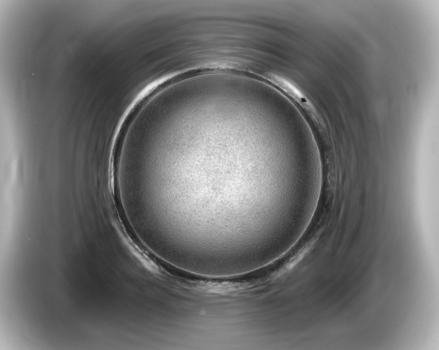 X0000085770940200703161139