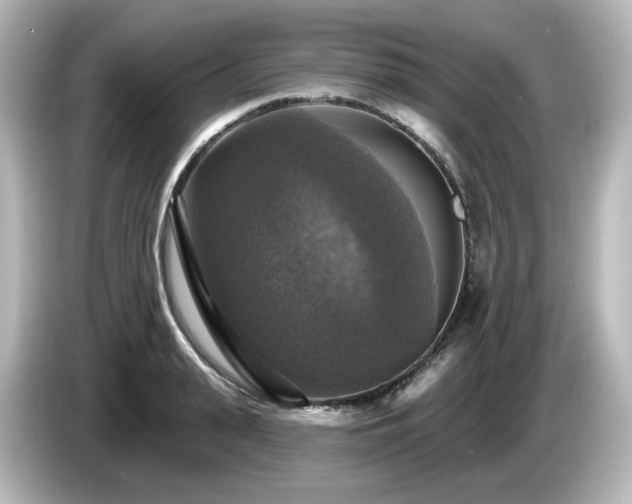 X0000085770943200703161139