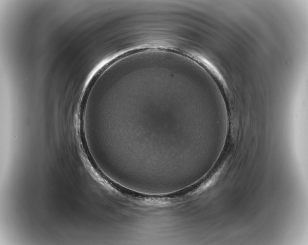 X0000085770944200703161139