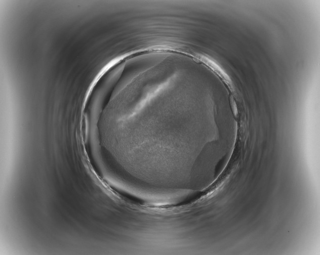 X0000085770948200703161139