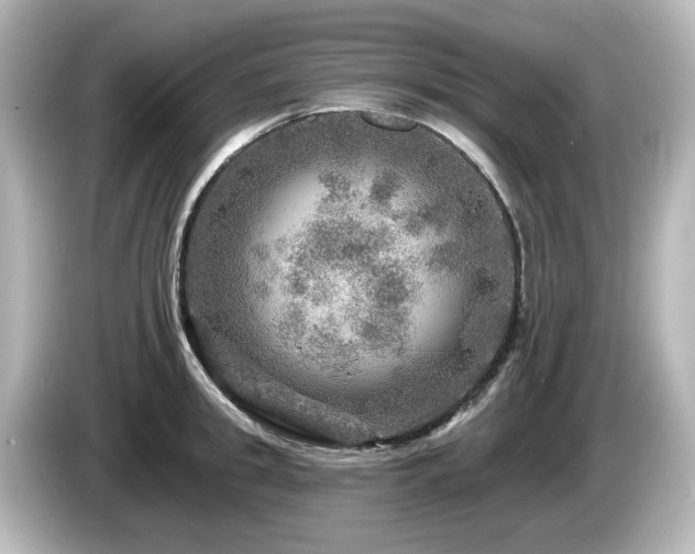 X0000085770949200703161139