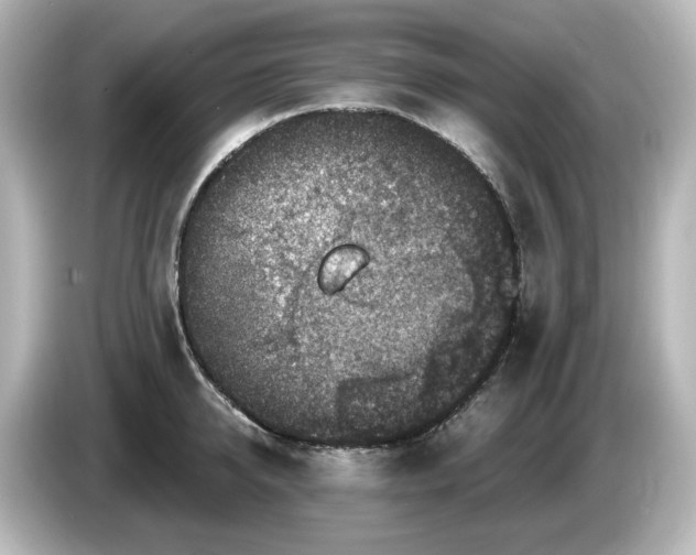 X0000085770950200703161139