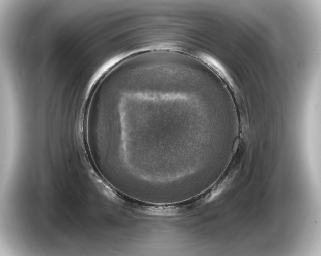 X0000085770952200703161139