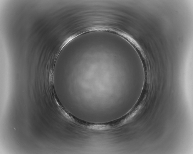 X0000085770953200703161139