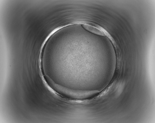 X0000085770955200703161140