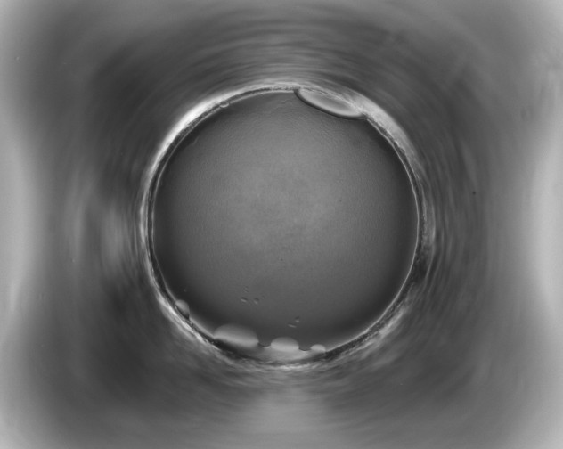 X0000085770958200703161140