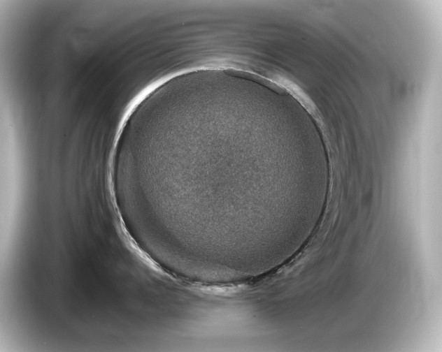 X0000085770960200703161140