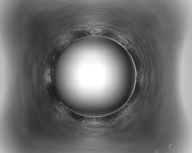 X0000085770962200703161139