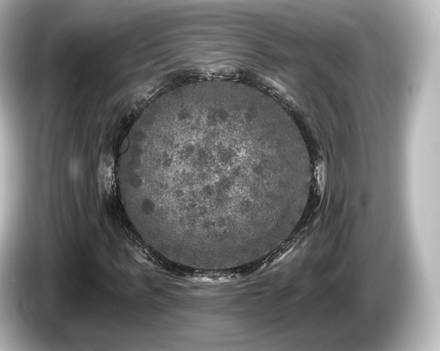 X0000085770963200703161139