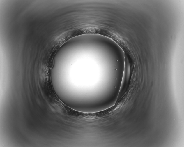 X0000085770964200703161139