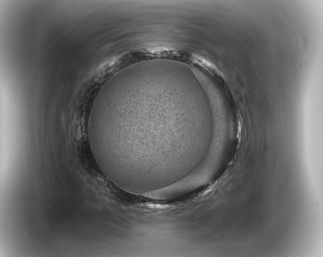 X0000085770965200703161139