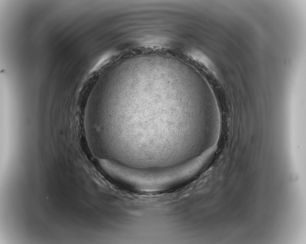 X0000085770968200703161139