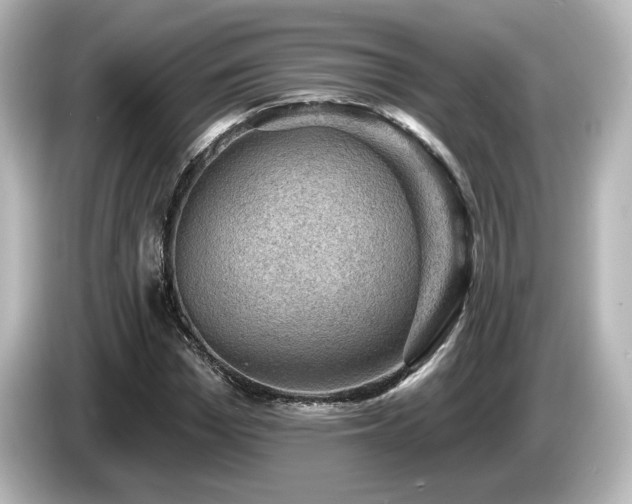 X0000085770969200703161139