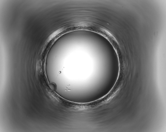 X0000085770970200703161139